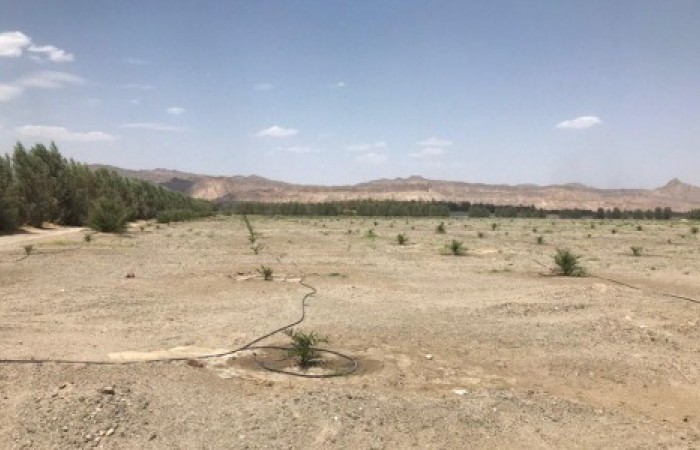 توسعه سیستم های نوین آبیاری در سیستان وبلوچستان/۳۳هزار هکتار از اراضی استان مجهز شدند