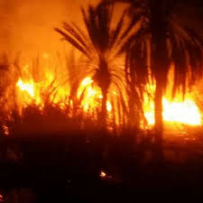 آتش نخلستان های چاه کیچی شهرستان دلگان مهار شد