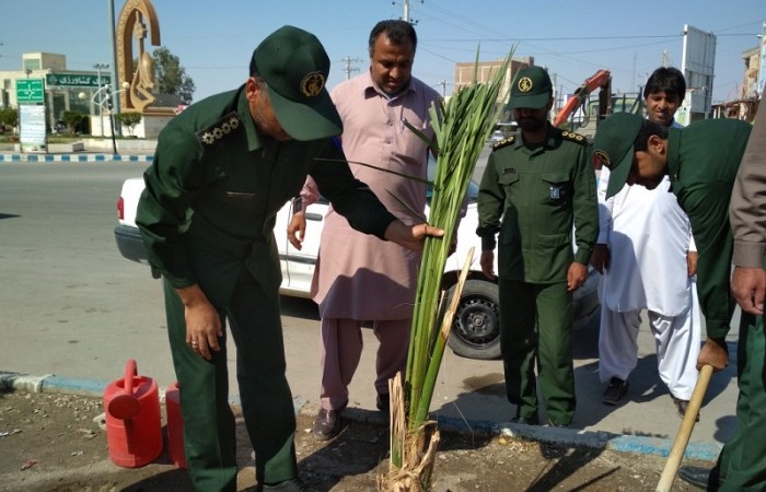 کاشت 15 اصله نهال توسط بسیجیان و پاسداران شهرستان دلگان