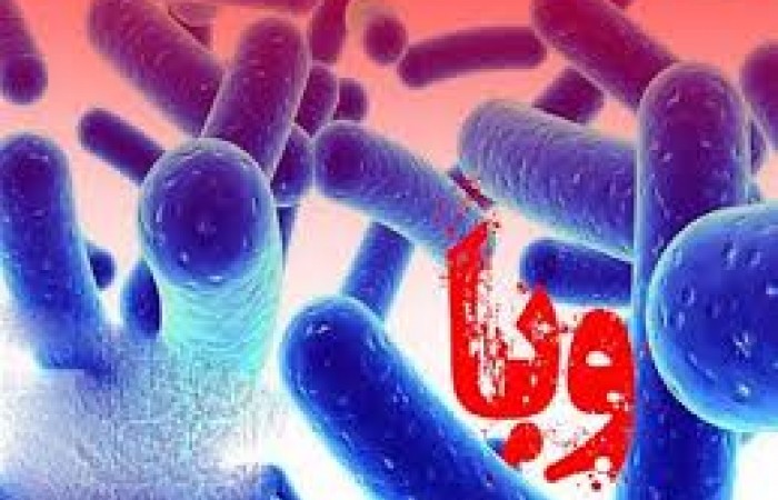 التور از نظر سرعت انتقال شبیه به کرونا است/ پیشگیری و مراقبت بهترین راه مقابله با بیماری ها