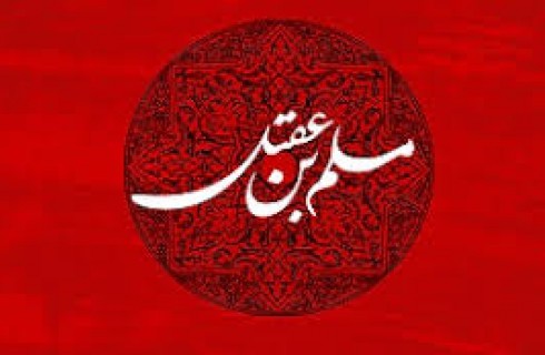 بی بصیرتی و ترس سبب خیانت کوفیان به نماینده ویژه امام حسین (ع) شد