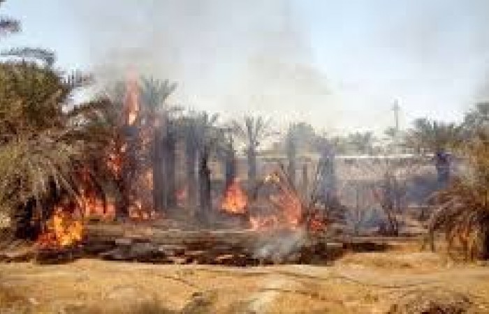 بخشدار بزمان: نخلستان روستای مکسان طعمه حریق شد/ شهردار گلمورتی: اعزام خودرو آتش‌نشانی از دلگان برای اطفا حریق