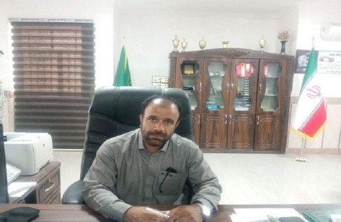 مبارزه با سوسک سرخرطومی نیازمند نگاه ملی