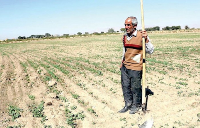 کمبود آب به معنای توقف کشاورزی نیست