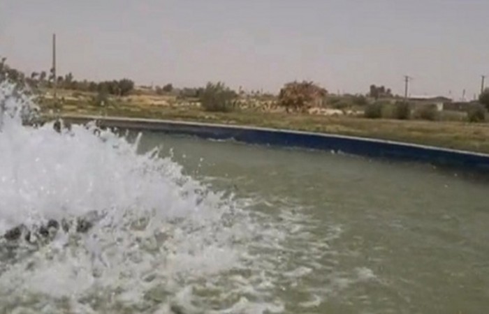 چاهک‌ها ناجیان تشنه‌ترین دشت سیستان شدند