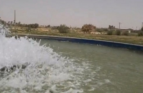 چاهک‌ها ناجیان تشنه‌ترین دشت سیستان شدند