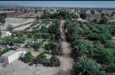 عورکی، گنج پنهان گردشگری جنوب ایران